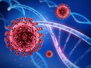 Sistema imune de mulheres responde melhor à COVID-19, aponta estudo