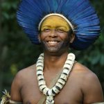 O que aprender com um vírus?