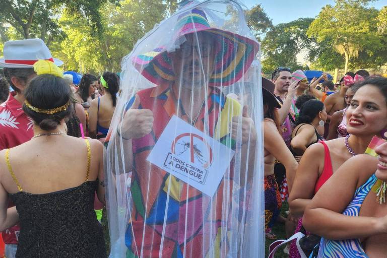 Folião usa tela protetora contra mosquito Aedes aegypti, transmissor da dengue, como fantasia no bloco Terreirada Cearense, no Rio