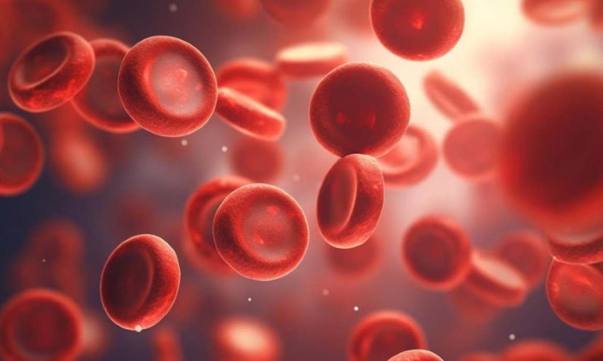 Quando afetado por esse tipo de leucemia, o organismo produz gl&oacute;bulos brancos anormais, que crescem descontroladamente e rapidamente substituem os gl&oacute;bulos saud&aacute;veis - (crédito: Freepik)