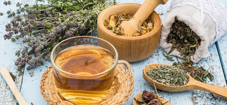 Ministério da Saúde lança cursos virtuais e gratuitos sobre terapias alternativas