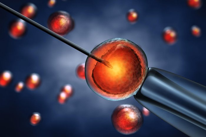 nobeastsofierce / stock.adobe.com