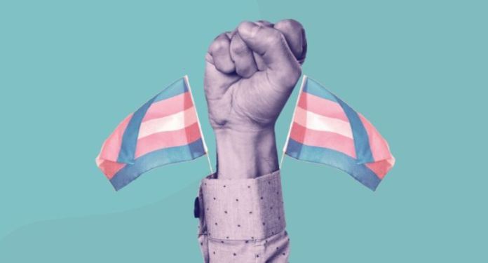 Coordenadoria de Diversidade Sexual e Enfrentamento da Violência de Gênero – CDGEN/PROAFE