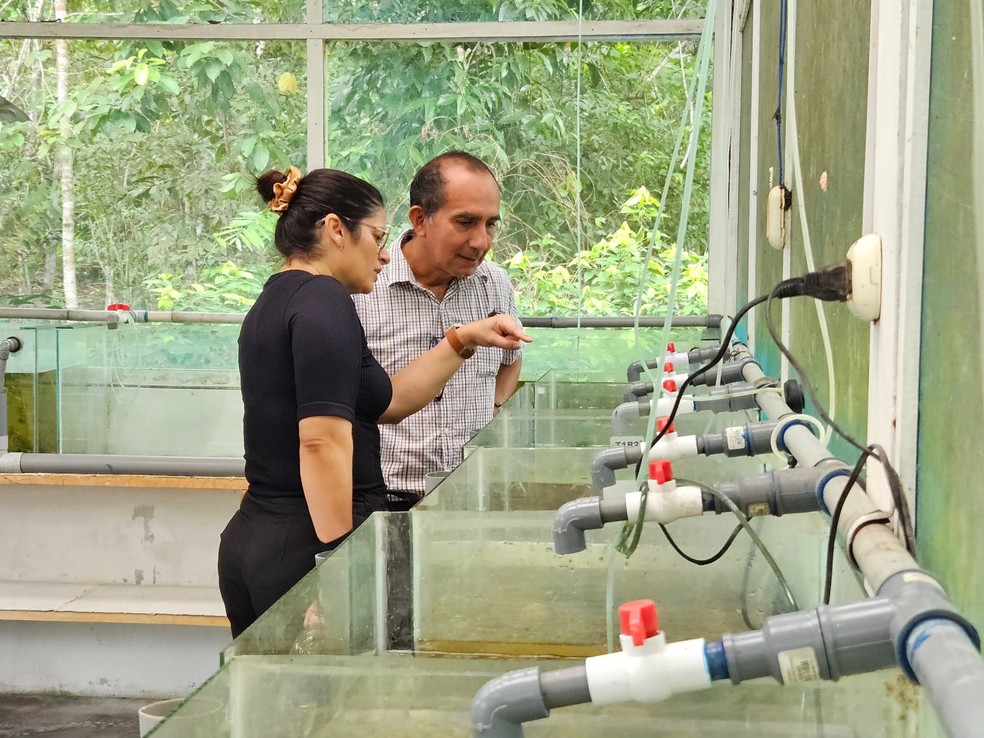Agenda da FVS-RCP atende à necessidade de fortalecimento da saúde na tríplice fronteira. — Foto: Girlene Medeiros/FVS-RCP