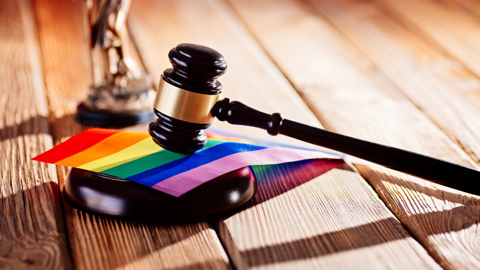 Judy Shepard's Testimony in support of Virginia H.B. 2132, the LGBTQ Panic Defense Ban - Matthew Shepard Foundation