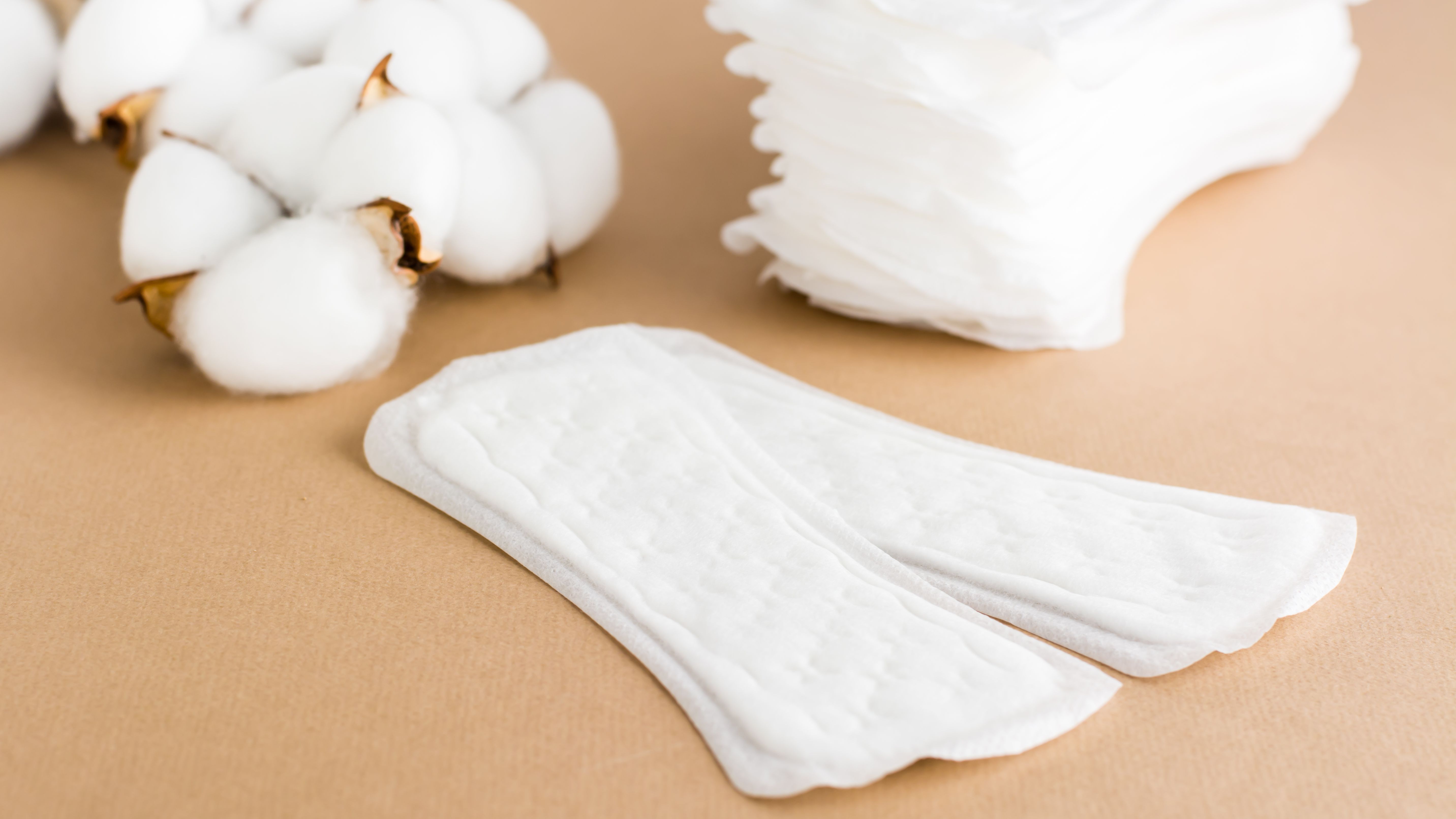 Cientistas criam absorvente que detecta HPV pela menstruação - Canaltech