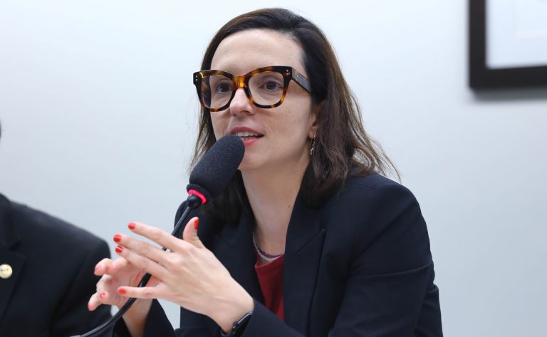 Deputada Ana Pimentel (PT-MG) fala em comissão da Câmara dos Deputados