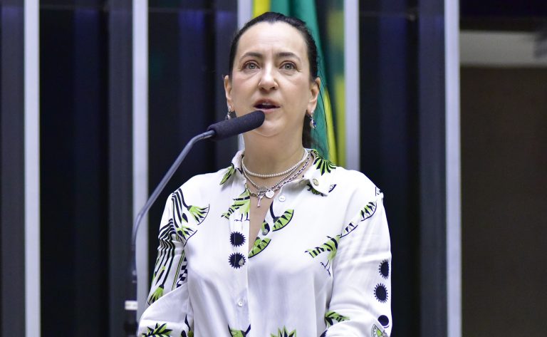 Homenagem ao Dia Nacional de Luta Contra Violência à Mulher. Dep. Rosângela Moro (UNIÃO-SP)