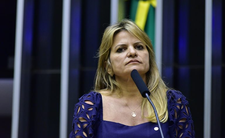 Flávia Morais discursa na tribuna do Plenário