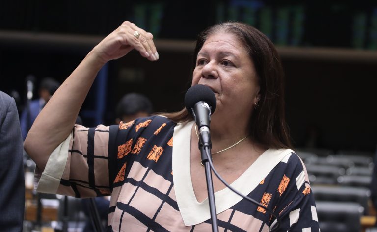 Discussão e votação de propostas legislativas. Dep. Laura Carneiro (PSD - RJ)