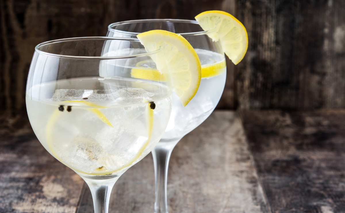 20 receitas de gin tônica com sabor aromático e surpreendente