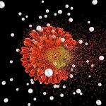 Uma única infusão de células imunes pode suprimir o HIV por quase 2 anos, sugere estudo preliminar – The New York Times