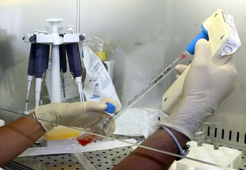 Pesquisa identifica genes que regem células-tronco — Foto: Agência ANSA