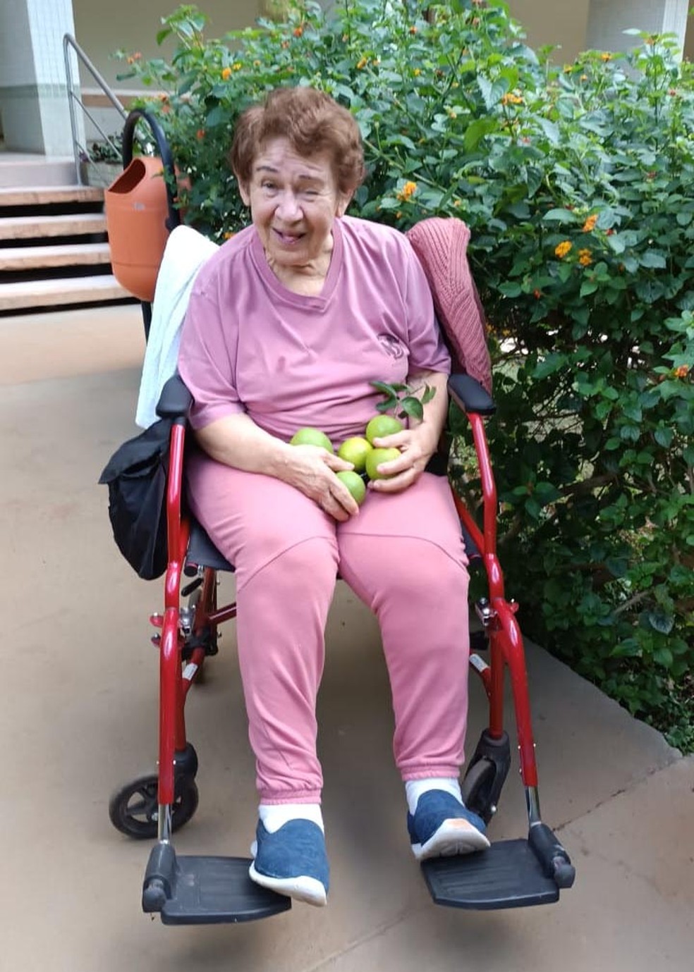 Biomédica piauiense indicada ao Prêmio Nobel da Paz, Lair Guerra morre aos 80 anos — Foto: Reprodução