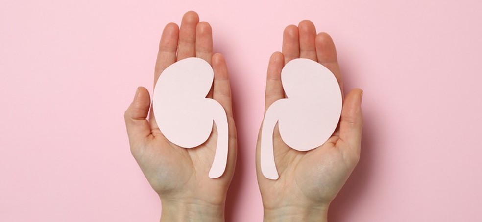 Brasil é o terceiro maior transplantador de rim do mundo, segundo o Ministério da Saúde. — Foto: Ministério da Saúde