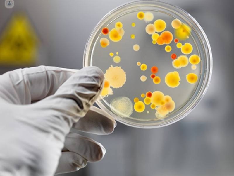 Infectologista Belém, Consulta Infectologista Belém - Clínica Rede Mais Saúde