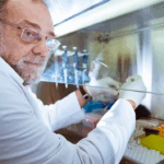 O adeus a Amílcar Tanuri, referência na virologia e no enfrentamento de epidemias