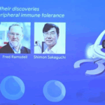 Folha de São Paulo: Entenda como nosso sistema imunológico evita atacar o próprio organismo