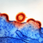 O Globo: Estudo revela em que partes do corpo o HIV se esconde, abrindo caminho para novos tratamentos