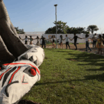 Saúde, medicina e a COP 30: o planeta também pede cuidado – por César Eduardo Fernandes