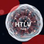 Dia Mundial do HTLV: o vírus invisível que pede atenção, prevenção e cuidado