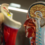 Folha de S. Paulo: Mais mulheres, mais jovens e mais negros: a nova cara da medicina paulista