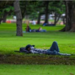 Correio Braziliense: Insônia ameaça a saúde do cérebro, aponta estudo com idosos