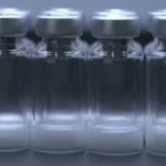 Confira as principais notícias do dia no Clipping da Agência Aids (13/01/2025)