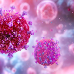 Pesquisas apontam que desempenho das células CD8 define quem responde melhor a estratégias de cura do HIV com anticorpos