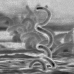 Estudo sobre antibiótico como prevenção de ISTs bacterianas está em fase de recrutamento, divulga Jornal da USP