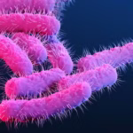 ‘Superbactéria’ altamente contagiosa transmitida por sexo tem alta de casos no Reino Unido; entenda – O Globo