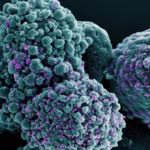 BA.3.2: Conheça a nova variante da Covid, já detectada em 23 países – O Globo