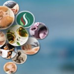 Procura por práticas integrativas cresce no SUS, e mulheres lideram atendimentos