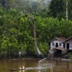 Projeto leva tratamento gratuito a doenças negligenciadas no Amazonas – Agência Brasil