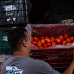 Hospitais do SUS em São Paulo recebem alimentos orgânicos – Pesquisa Fapesp