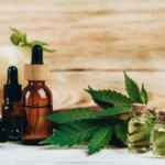 Anvisa libera exportação de cannabis medicinal; entenda – CNN Brasil