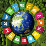 Ministério da Saúde mobiliza sociedade na elaboração de propostas para a Agenda 2030 da ONU