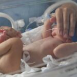 Folha de S. Paulo: Casos de bronquiolite em bebês caem após chegada de vacina para gestantes no SUS