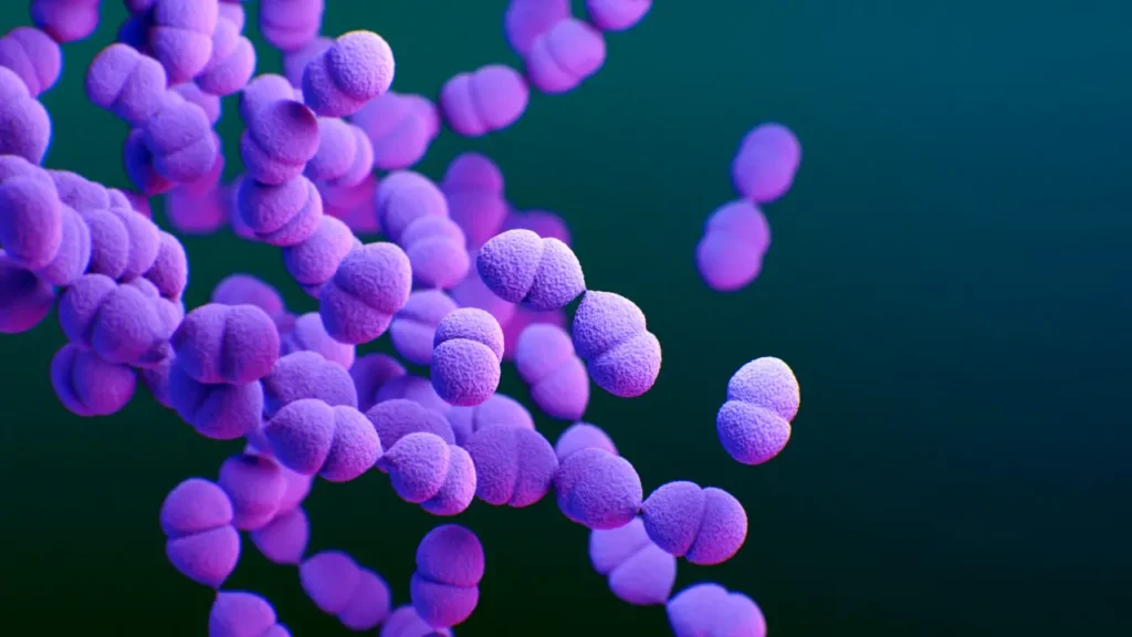 Vacina ‘turbinada’ contra pneumonia e meningite é incorporada pelo SUS; conheça – VEJA