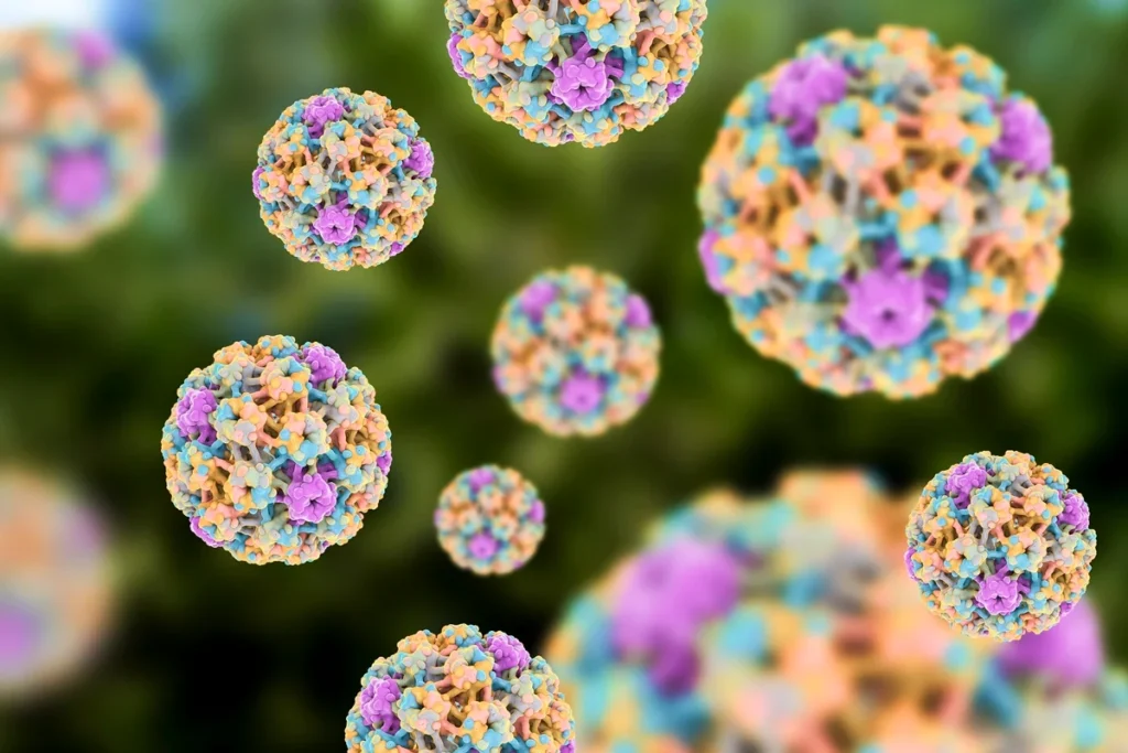 Falta de método de detecção dificulta a identificação de HPV em homens – Metrópoles