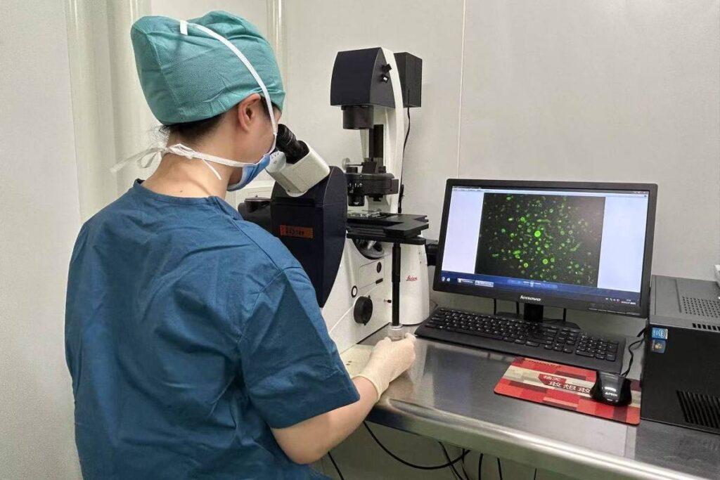 Congelamento de tecido ovariano preserva fertilidade de meninas com câncer e mira adiar menopausa – Folha de S. Paulo