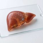 Hepatites virais no Brasil: novo mapa revela epidemias distintas sob a mesma sigla – Revista Newslab