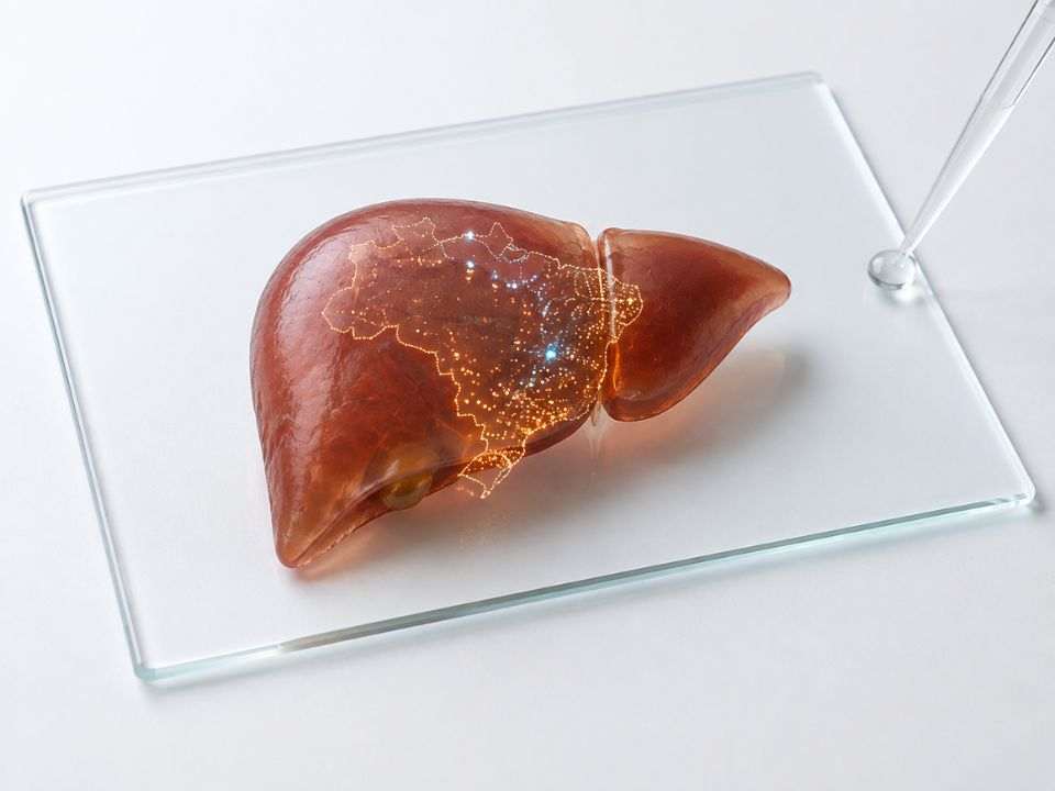 Hepatites virais no Brasil: novo mapa revela epidemias distintas sob a mesma sigla – Revista Newslab