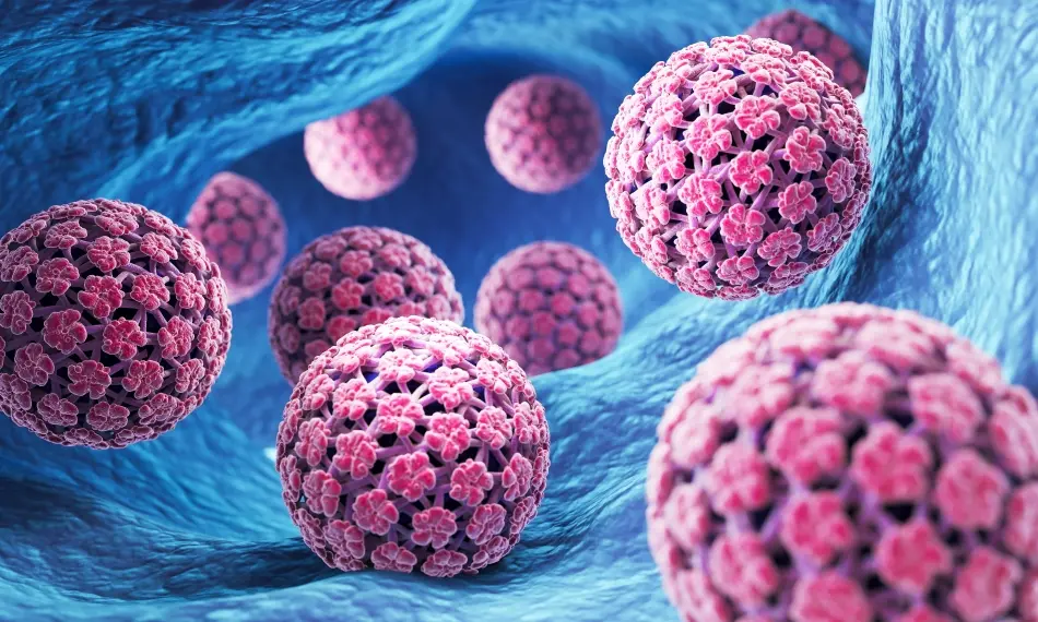 Einstein Hospital Israelita: Como e por que o vírus HPV vira um câncer?
