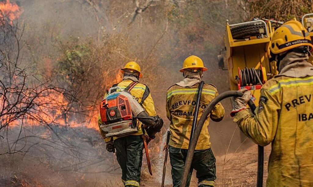Fiocruz analisa impacto das queimadas na saúde indígena no Amazonas, comunica Agência Brasil