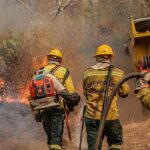 Fiocruz analisa impacto das queimadas na saúde indígena no Amazonas, comunica Agência Brasil